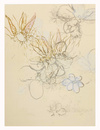 Carousel artwork image 1227