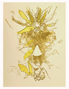 Carousel artwork image 1229