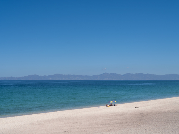 STEVE DYNIE From the Sand 