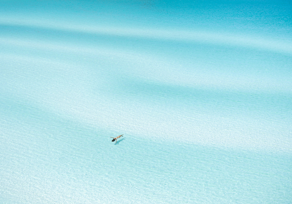 STEVE DYNIE From the Sand 