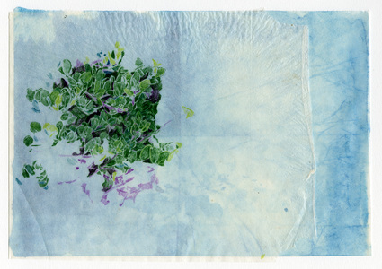 Susan Belau to stand in this garden  colored pencil and ink on layered paper