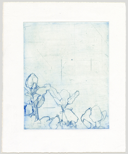 Susan Belau to stand in this garden  drypoint