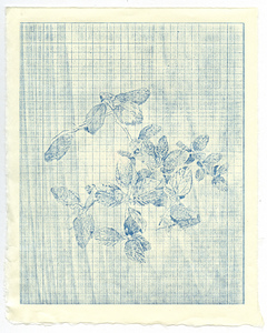 Susan Belau to stand in this garden  woodcut