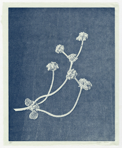 Susan Belau to stand in this garden  woodcut