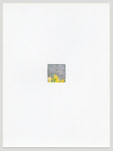 Susan Belau to stand in this garden  watercolor