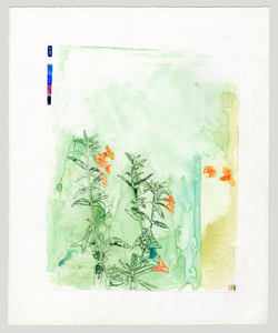 Susan Belau to stand in this garden  watercolor monotype