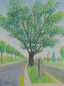 The Big Tree Quakerbridge Road
