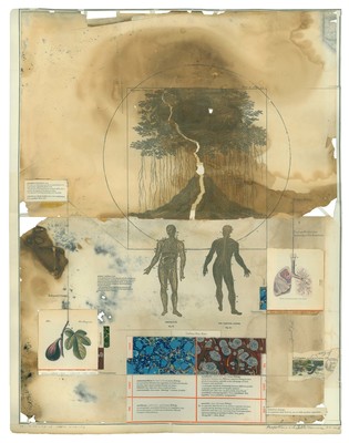 todd bartel Landscape Vernacular burnished, interlocking collage, 19th century papers, end pages, marbled papers, Xerographic prints on antique end pages, toner transfers on rain eroded bulletin board papers, cancelled stamp and envelope remnant, pencil, antique cellophane tape, archival document repair tape, yes glue and dictionary definitions