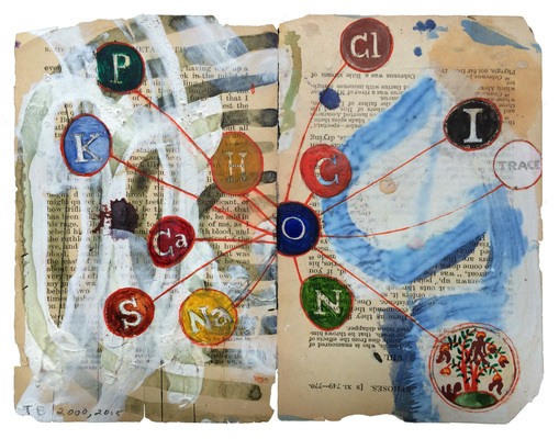 todd bartel Garden Studies ink, tempera, and watercolor on two pages from Ovid’s “Metamorphosis”