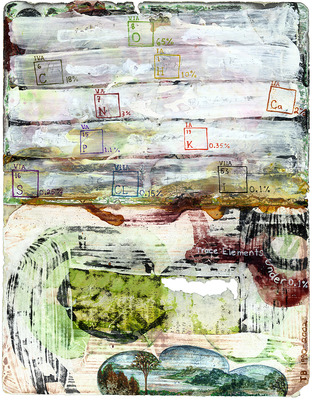 todd bartel Garden Studies ink, gesso, clay, and watercolor on two pages from Ovid’s “Metamorphosis”
