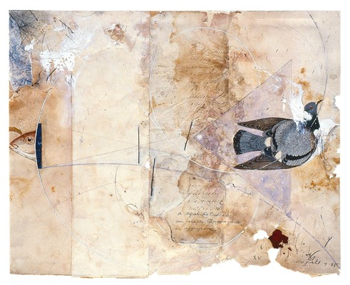 todd bartel Collages 1984-85 (Rome) cutout bookplates, aged magazine page remnant, glue wash, gouache, watercolor, pressed flower, Italian letter remnant (c. 1880) and pencil on back of page from a Florentine book (Book of Kings c. 1900)