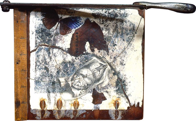 todd bartel Assemblages 1982-1989 distressed paper, book cutouts, flower pistils, cutting board