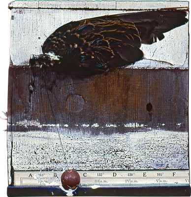 todd bartel Assemblages 1982-1989 chipped-paint on wood, bird wing, string, Victorian marble, map cutout