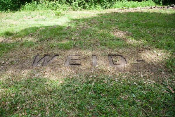 todd bartel This Is A Landview turned soil, Helvetica [detail]