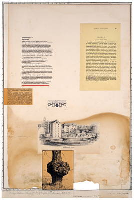 todd bartel Landscape Vernacular burnished interlocking collage, xerographic-transfers on 19th-century endpapers and rain-washed, weather-beaten bulletin board paper; Vermont map graticules; etymology and definition of "community" (OED), Merriam-Webster's definition of "community"; xerographic transfer of "The Hiawatha Wampum Belt"; xerographic reproductions of "Middlebury Falls" engraving and page 29 of Samuel Swifts, 1859 "Statistical and Historical Account of the County of Addison, Vermont"; Henry Sheldon Museum's LS24946_000 "A Giant Tree Burl," 1870-1940 interpreted as an engraving; pencil;