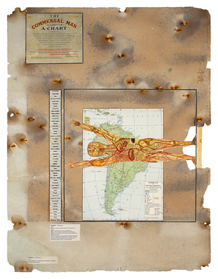 todd bartel Landscape Vernacular burnished interlocking collage; recto: xerographic prints on 19th- and 20th-century endpapers and Economic Map of South America" (The New•World Loose Leaf Atlas, C. S. Hammond & Company, Inc. 1926) and map graticule cuttings inserted into weathered library bulletin board paper