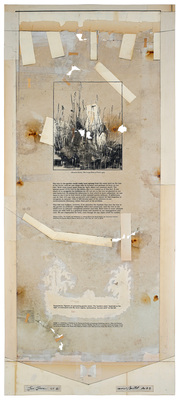 todd bartel Landscape Vernacular burnished interlocking collage; recto: weathered library bulletin board paper, inset xerographic print on 19th-century endpaper, xerographic prints on vintage endpapers, ink, pencil