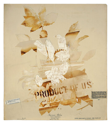 todd bartel Landscape Vernacular Interlocking collage; recto: rust transfer on blank 19th-century sketchbook pages and weathered aviary book page cuttings set into John James Audubon’s American Robin No. 27, Lithograph 1832 (printed by R. Havell) with pencil and inset xerographic transfers; verso: xerographic transfers, pencil and document repair tape on back of John James Audubon’s American Robin No. 27, lithograph, artist-made frame