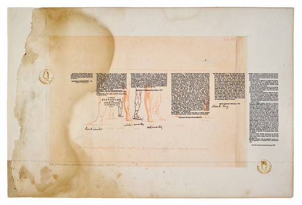 todd bartel As Is Xerographic print on water-damaged (with ink tracings by unknown author) page 32 of “Anatomy” by William Rimmer, Little Brown and Co., Boston 1877, with interlocking lemon prints on 20th-century endpaper cuttings, document repair tape