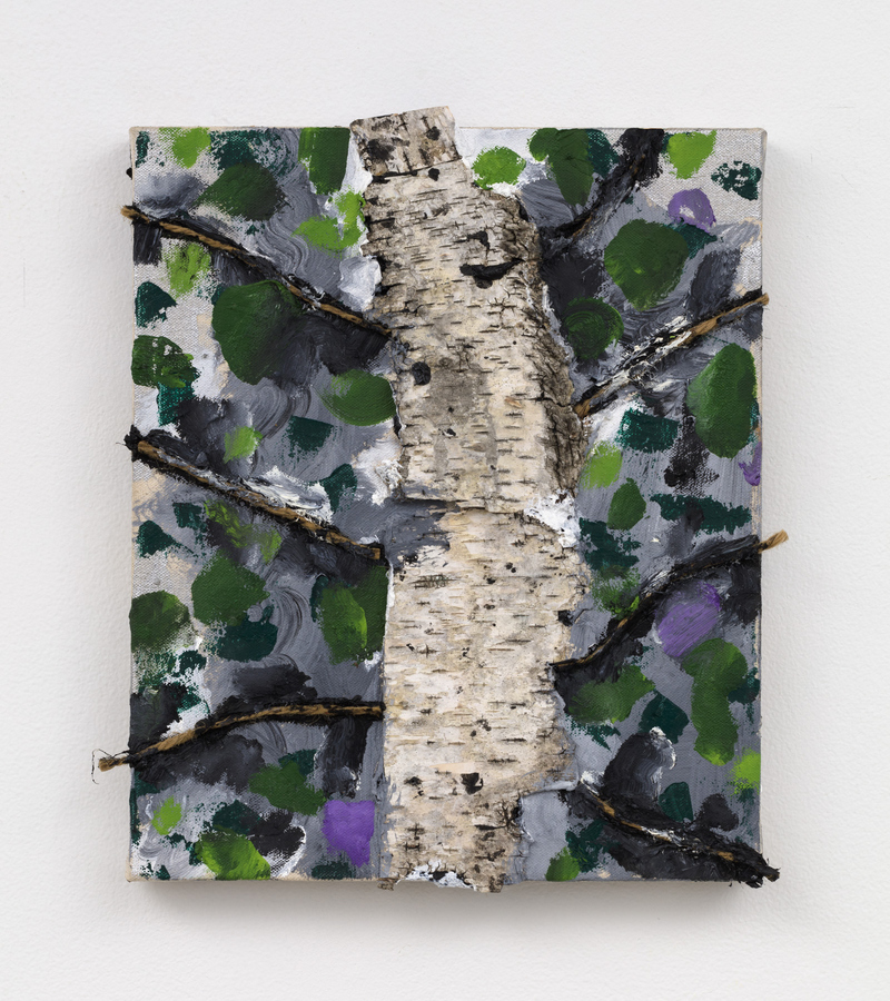 William Staples Paintings Oil, acrylic, bark and twine on canvas