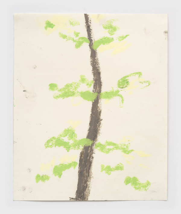 William Staples Drawings 