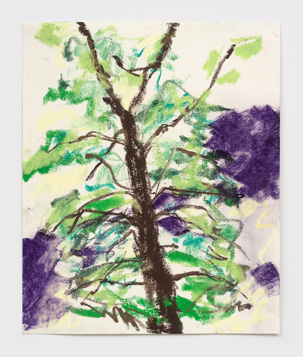 William Staples Drawings 